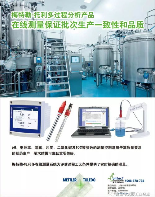 网络技术开发的创新与应用 从论坛专家到国际化视角